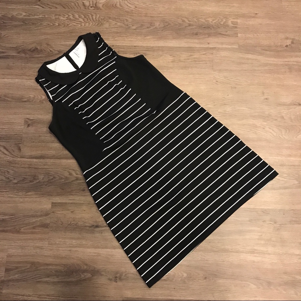 A-Line Peter Pan Collar Dress - Picture 2 of 4